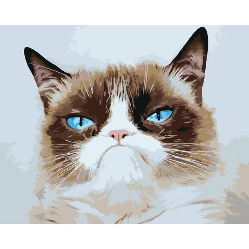 Картина по номерам Мем: Grumpy cat / Грампи кэт, грустный кот, 40x50, см, Живопись по Номерам