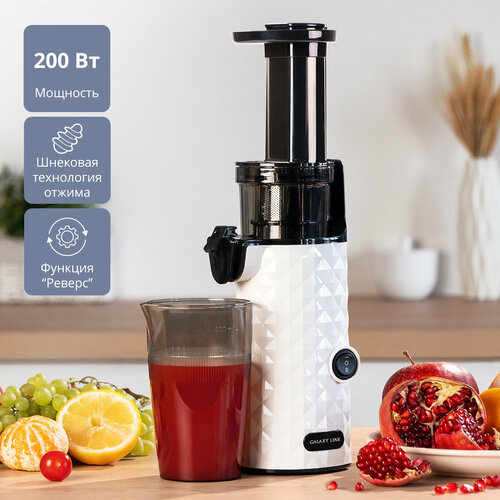 Соковыжималка шнековая GALAXY LINE GL0807 4540₽