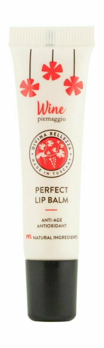 Бальзам для идельного ухода за губами на основе красного вина Divina Bellezza Perfect Lip Balm