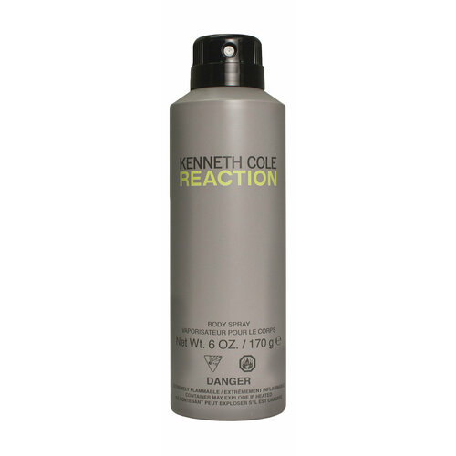 Парфюмированный спрей для тела Kenneth Cole Reaction Body Spray