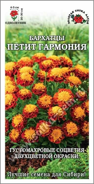 Семена Бархатцы Петит Гармония отклоненные 02г (Золотая сотка Алтая)