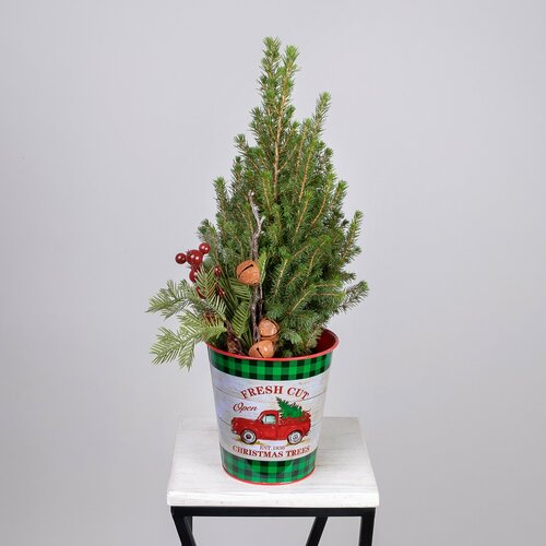 Ель Коника в цинковом ведерке с новогодним украшением PTK24537 (D-15, H-50)