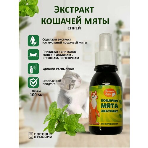 Экстракт кошачьей мяты 578₽