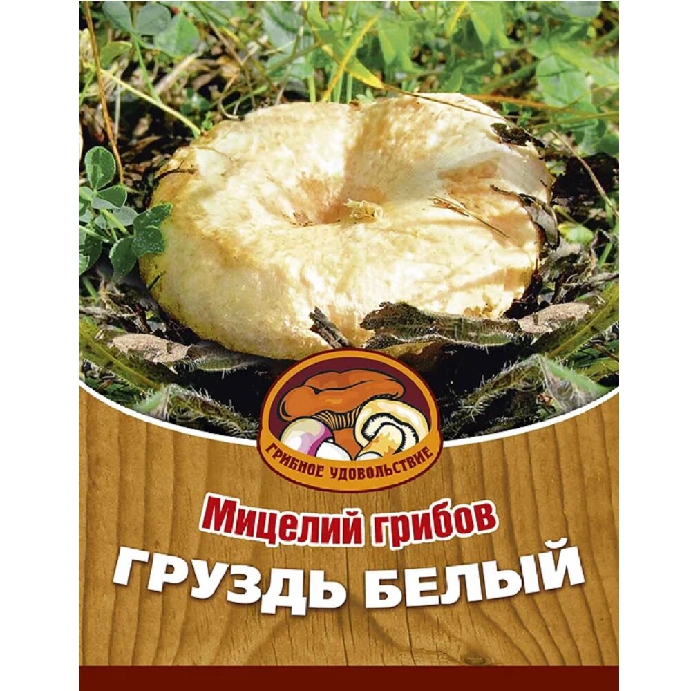 Груздь настоящий или Белый груздь (мицелий на компосте)  шт