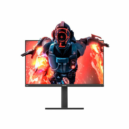 Монитор Sanc M2466 2976100₽