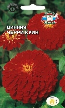 Семена Цинния Черри Куин изящная (вишневая) 05 г (СеДеК)