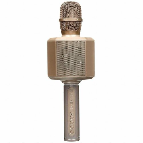 Микрофон SU-YOSD YS-89 золотистый 585000₽