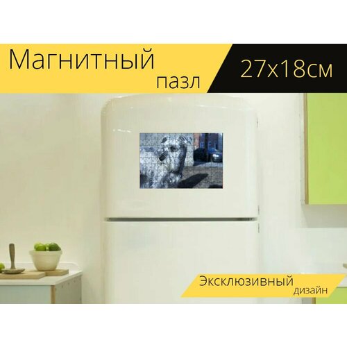 Магнитный пазл Шнауцер, собака, домашний питомец на холодильник 27 x 18 см.