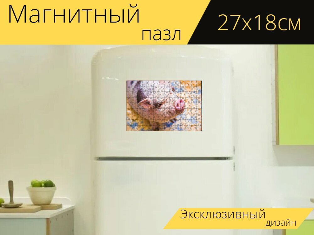 Магнитный пазл "Свинья, минипиг, животное" на холодильник 27 x 18 см.