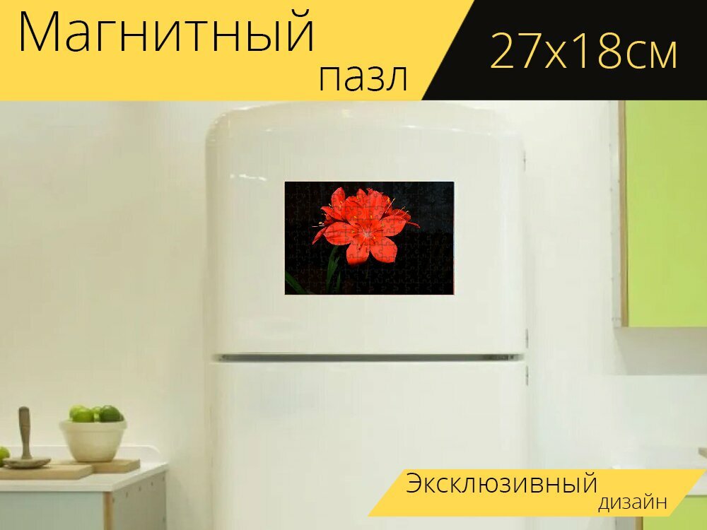 Магнитный пазл "Цветок, красный, крупным планом" на холодильник 27 x 18 см.