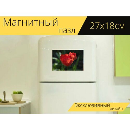 Магнитный пазл Тюльпан, красный, солнечный свет на холодильник 27 x 18 см. магнитный пазл цветы солнечный свет на холодильник 27 x 18 см