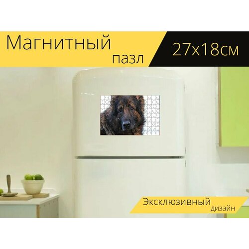 Магнитный пазл Собака, пастушья собака, животное на холодильник 27 x 18 см.