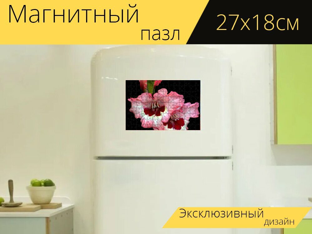 Магнитный пазл "Цветок, гладиолусы, макрос" на холодильник 27 x 18 см.