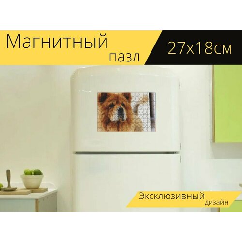 Магнитный пазл Собака, чаучау, домашний питомец на холодильник 27 x 18 см. магнитный пазл пшеничный терьер собака домашний питомец на холодильник 27 x 18 см