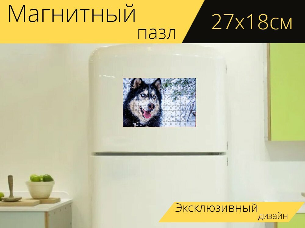 Магнитный пазл "Хаски, снежная собака, ездовая собака" на холодильник 27 x 18 см.
