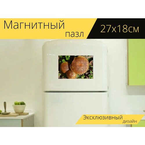 Магнитный пазл Коричневые узорчатые грибы, грибы, природа на холодильник 27 x 18 см.