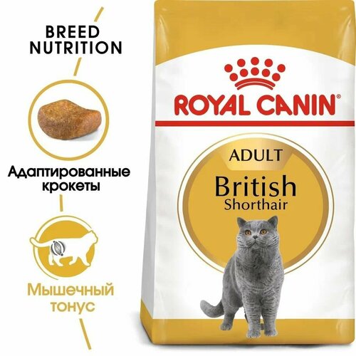Сухой корм для британских короткошерстных кошек Royal Canin British Shorthair Adult, с птицей, 2 кг
