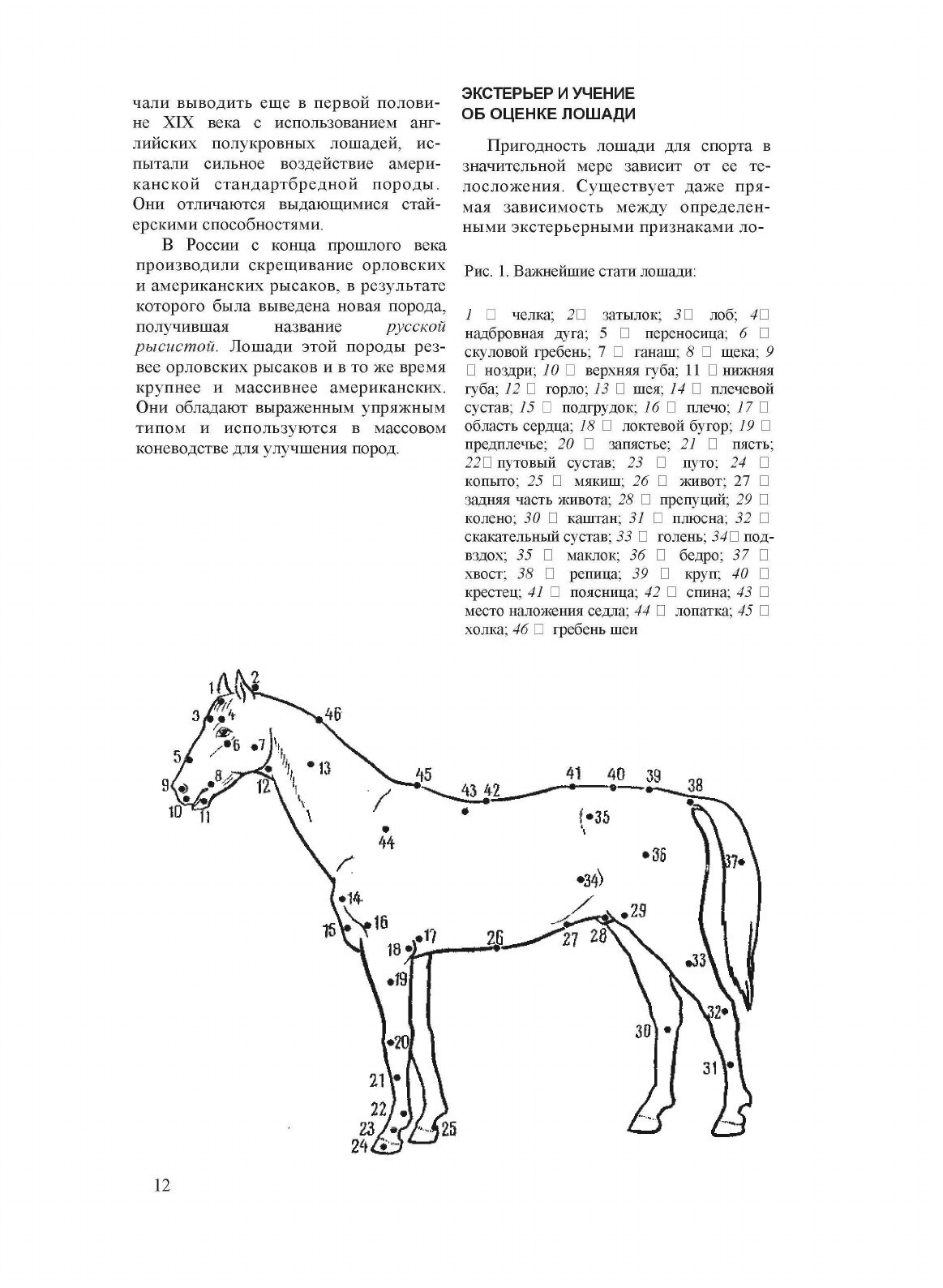 Конный спорт. Пособие для тренеров, преподавателей, коневодов и спортсменов - фото №8