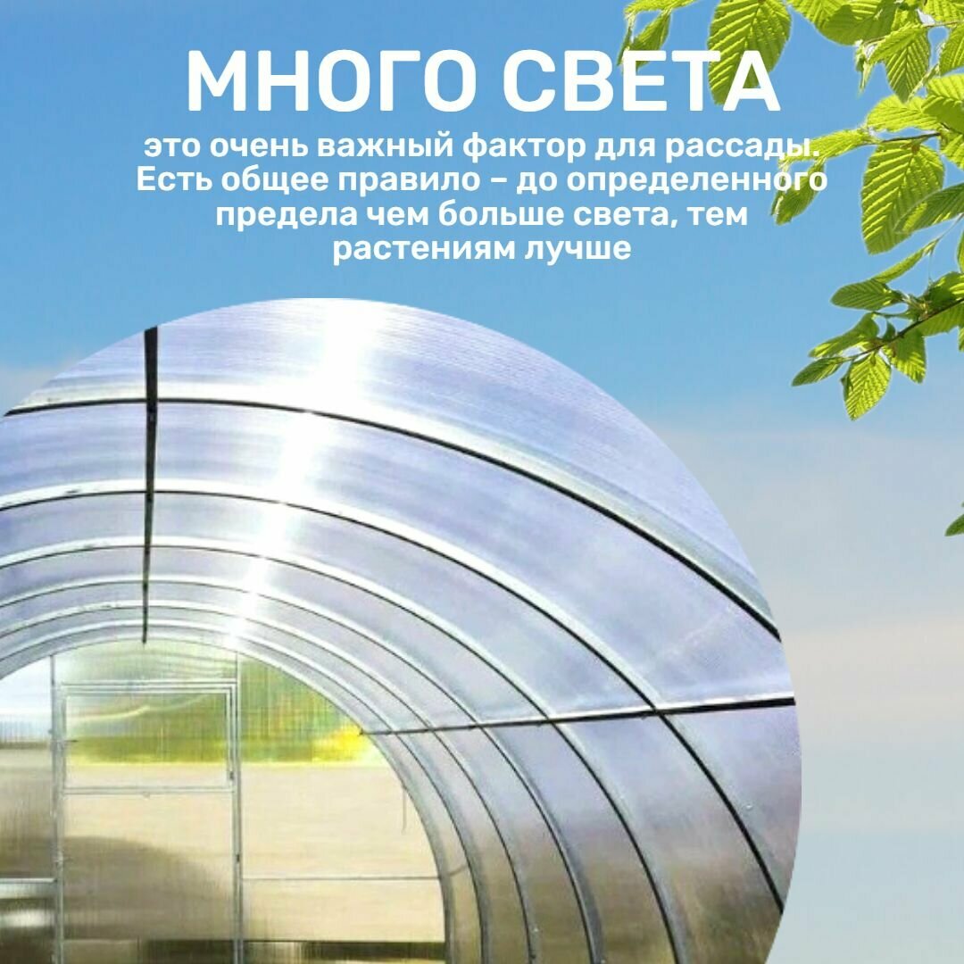 Теплица Арочная (Поликарбонат в комплекте) 3 х 6 метра, оцинкованный каркас 20х20 мм — фото 1