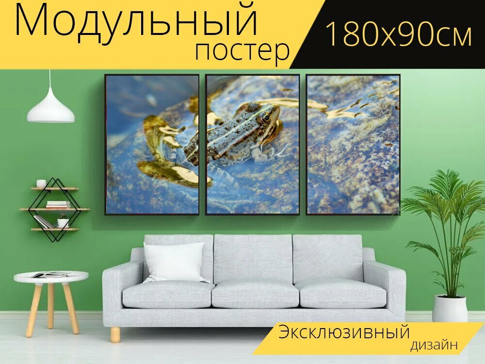 Модульный постер "Жаба, лягушка, батрахиан" 180 x 90 см. для интерьера