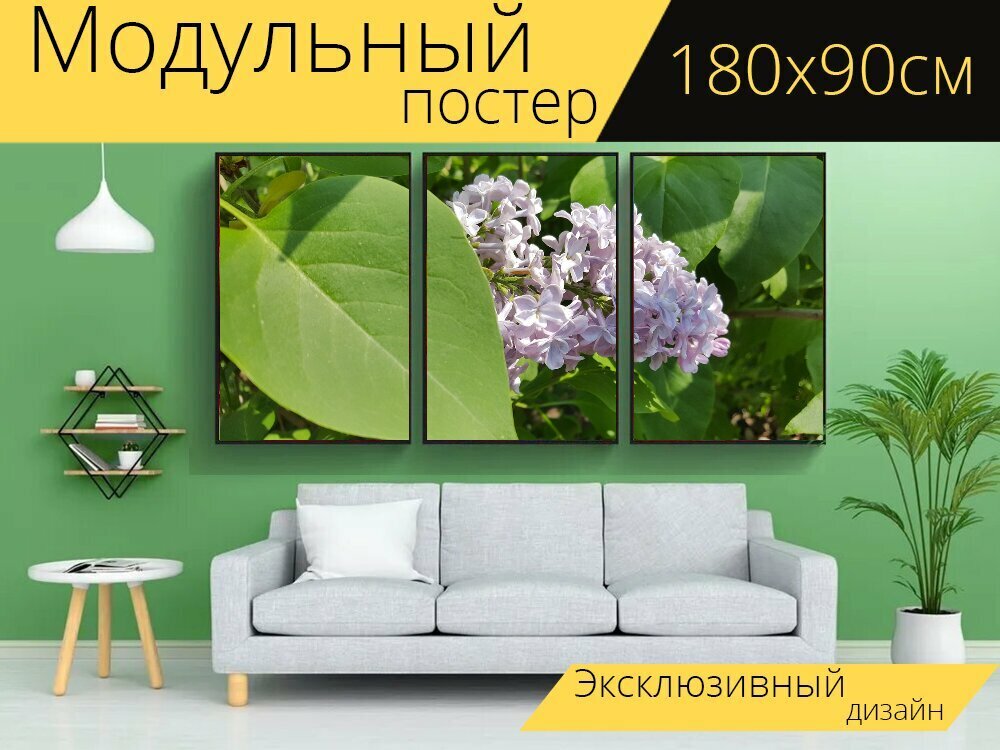 Модульный постер "Сирень, яркий, фиолетовый" 180 x 90 см. для интерьера