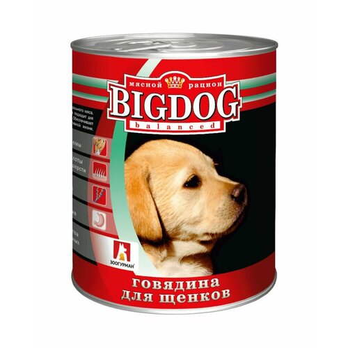 Корм для щенков Зоогурман Big Dog Говядина 850г