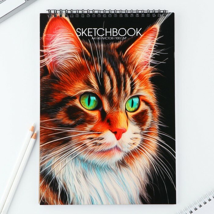 ArtFox Скетчбук А4, 40 л. 100 г/м «Кот»