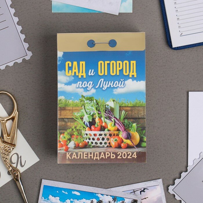 КалендарьОтрывной 2024 Сад и огород под луной, (Кострома, 2023), Обл, c.391