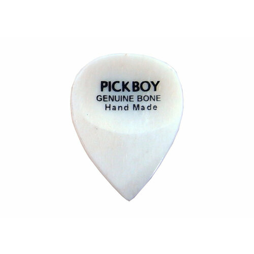 Медиатор Pickboy PBEXBNP Exotic Pick Hand-made костяной 1 шт 927₽
