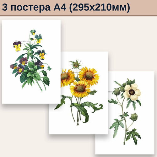 Набор постеров, плакатов А4 для интерьера с цветочным рисунком, ретро, в подарок