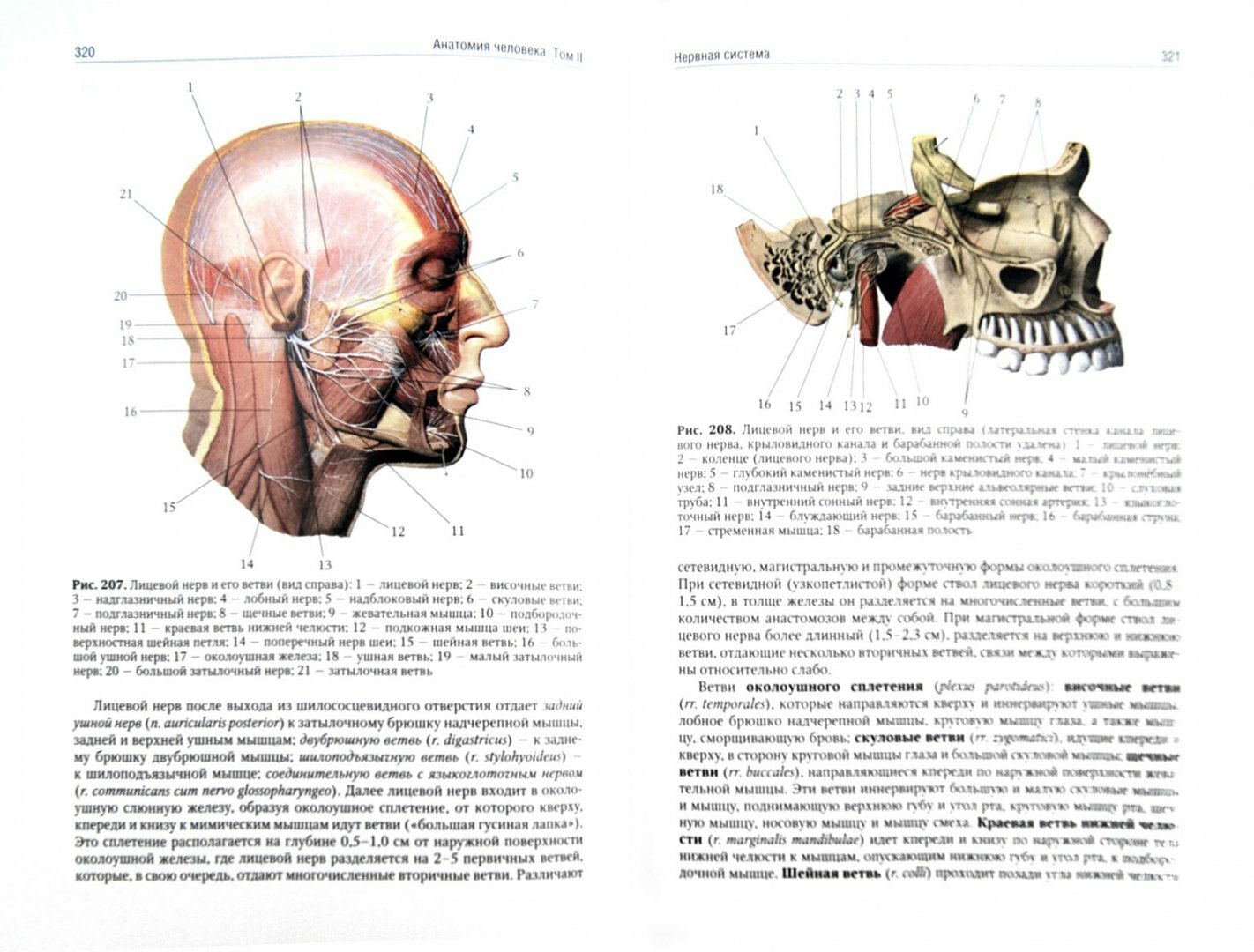 Анатомия человека. Учебник. В 2-х томах. Том 2 - фото №2