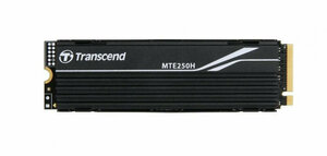 Накопитель SSD Transcend M.2 1TB TS1TMTE250H PCIe 4.0 x4 3D NAND, Metal Heatsink (TS1TMTE250H)