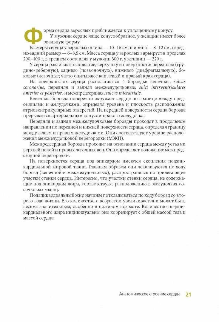 Клиническая анатомия сердца. Иллюстрированный авторский цикл лекций - фото №4