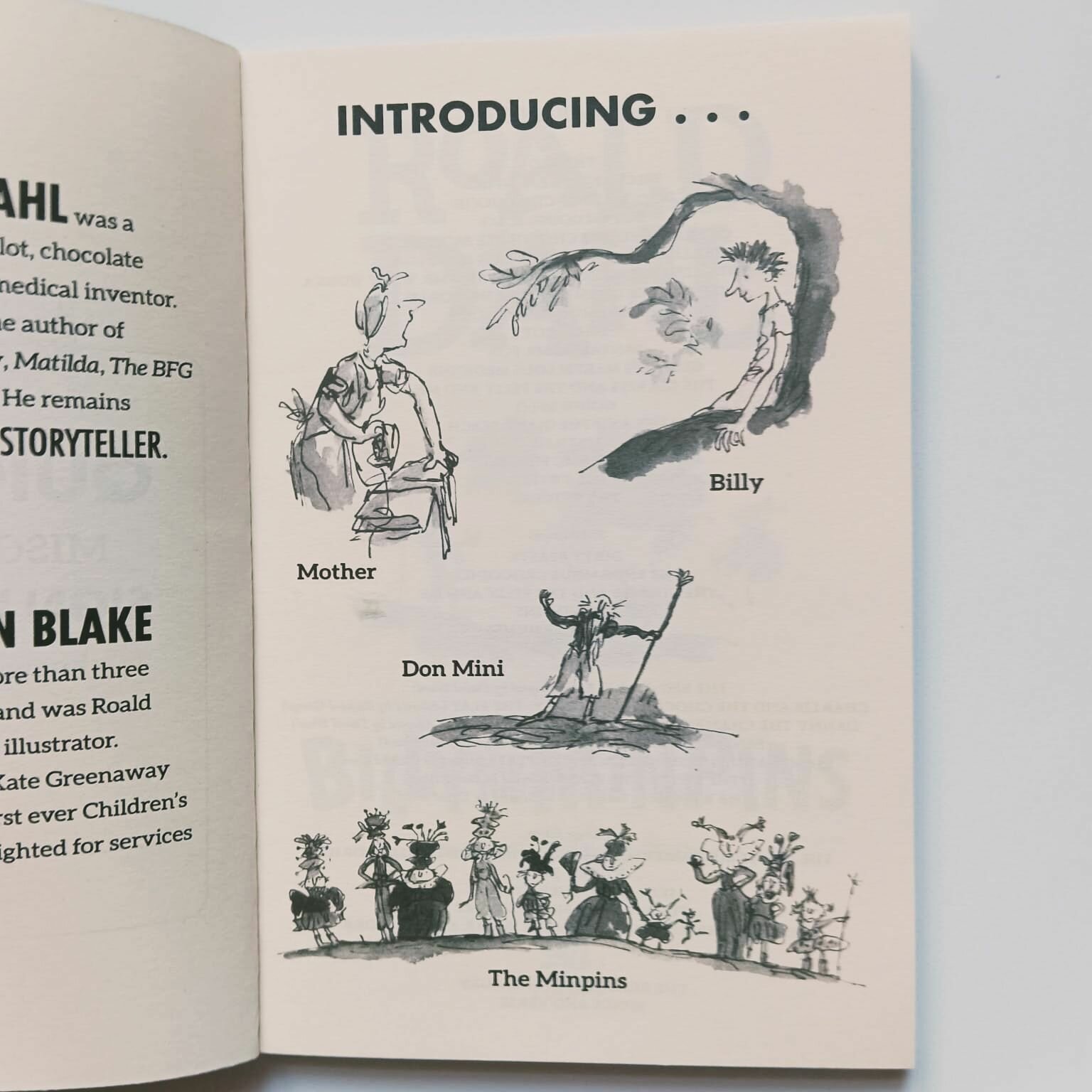 Billy and the Minpins (Roald Dahl) - фото №5