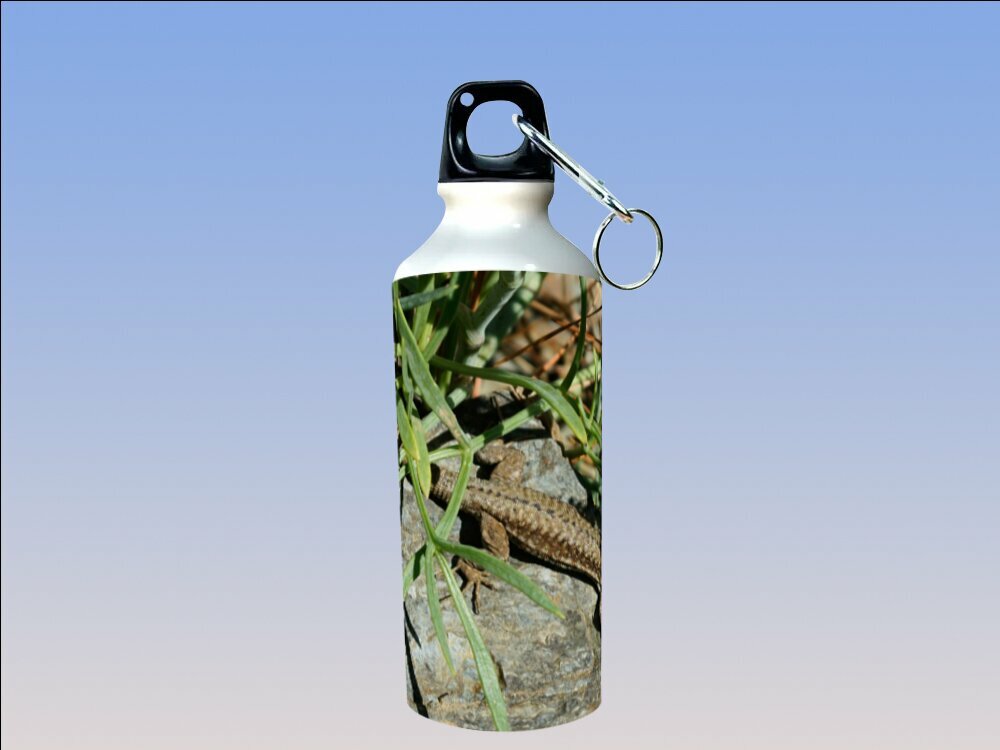 Бутылка фляга для воды "Ящерица, рептилия, солнце" 750 мл. с карабином и принтом