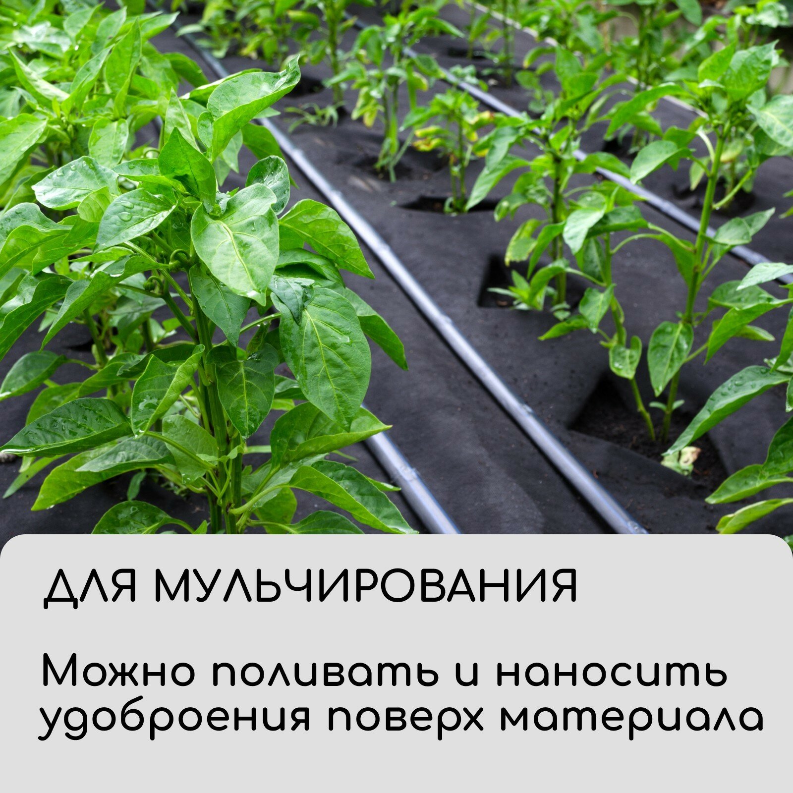 Материал для ландшафтных работ, плотность 120, УФ, 0,8*10м, черный, Greengo, Эконом 20% 4712448 — фото 13