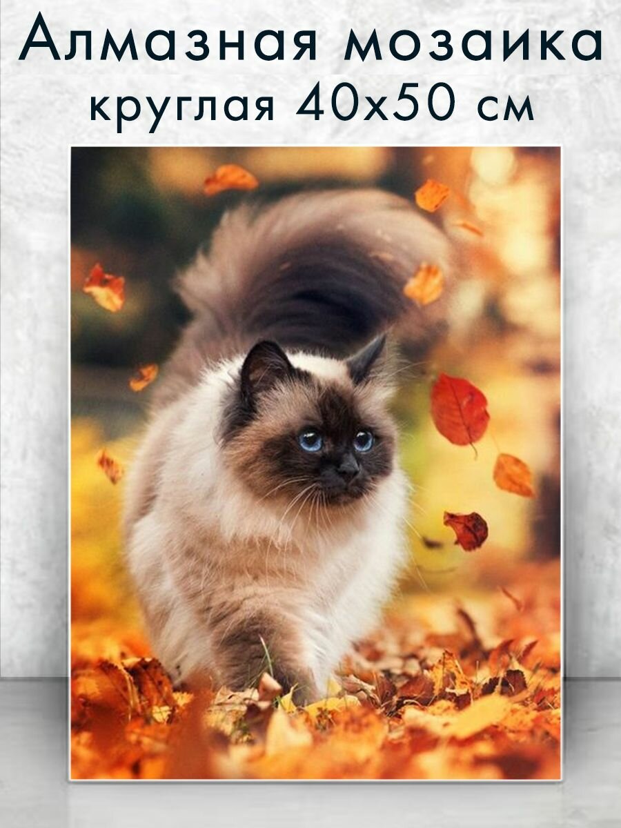 Алмазная мозаика (круг) "Котик в листве" 40х50 см