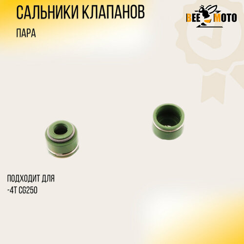 Сальники клапанов (пара) 4T CG250 