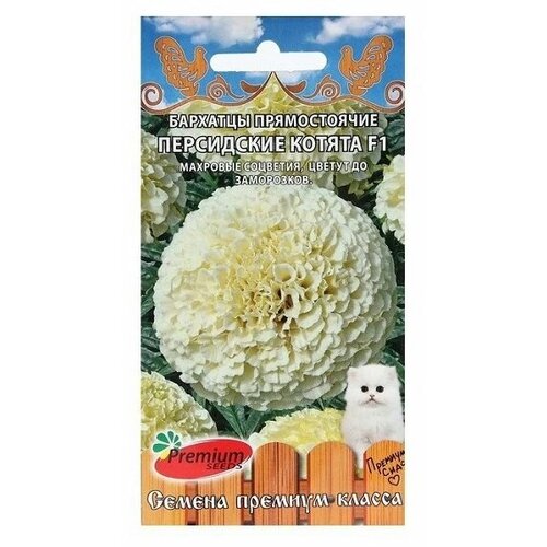 наволочка декоративная персидские котята 50 Бархатцы Персидские Котята F1 0,04г Премиум Сидс