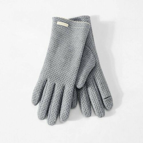 Перчатки , размер OneSize, серый