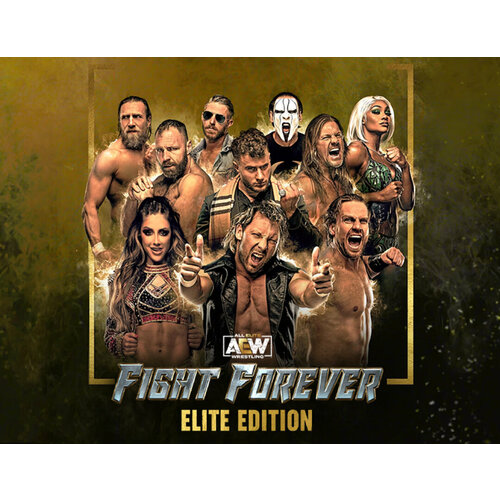 ps4 игра thq nordic aew fight forever AEW: Fight Forever Elite Edition