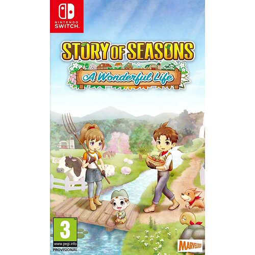 Story of Seasons: A Wonderful Life (Switch) английский язык