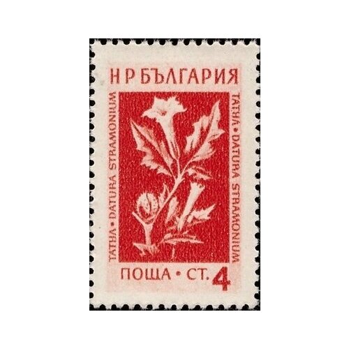 (1954-001) Марка Болгария Дурман (02.02) Лекарственные растения Болгарии (3) II Θ