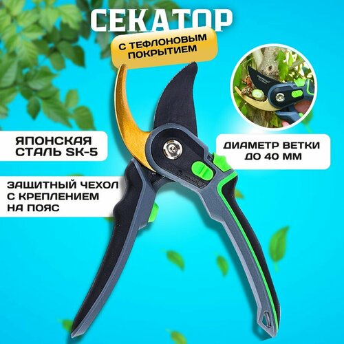 голубой, золотистый, бесцветный, бежевый, серый, зеленый, белый, черный, серебристый, желтый