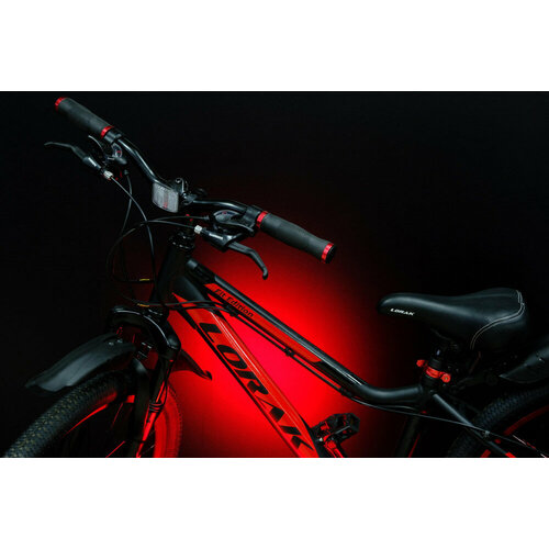 фото Велосипед lorak dynamic 24