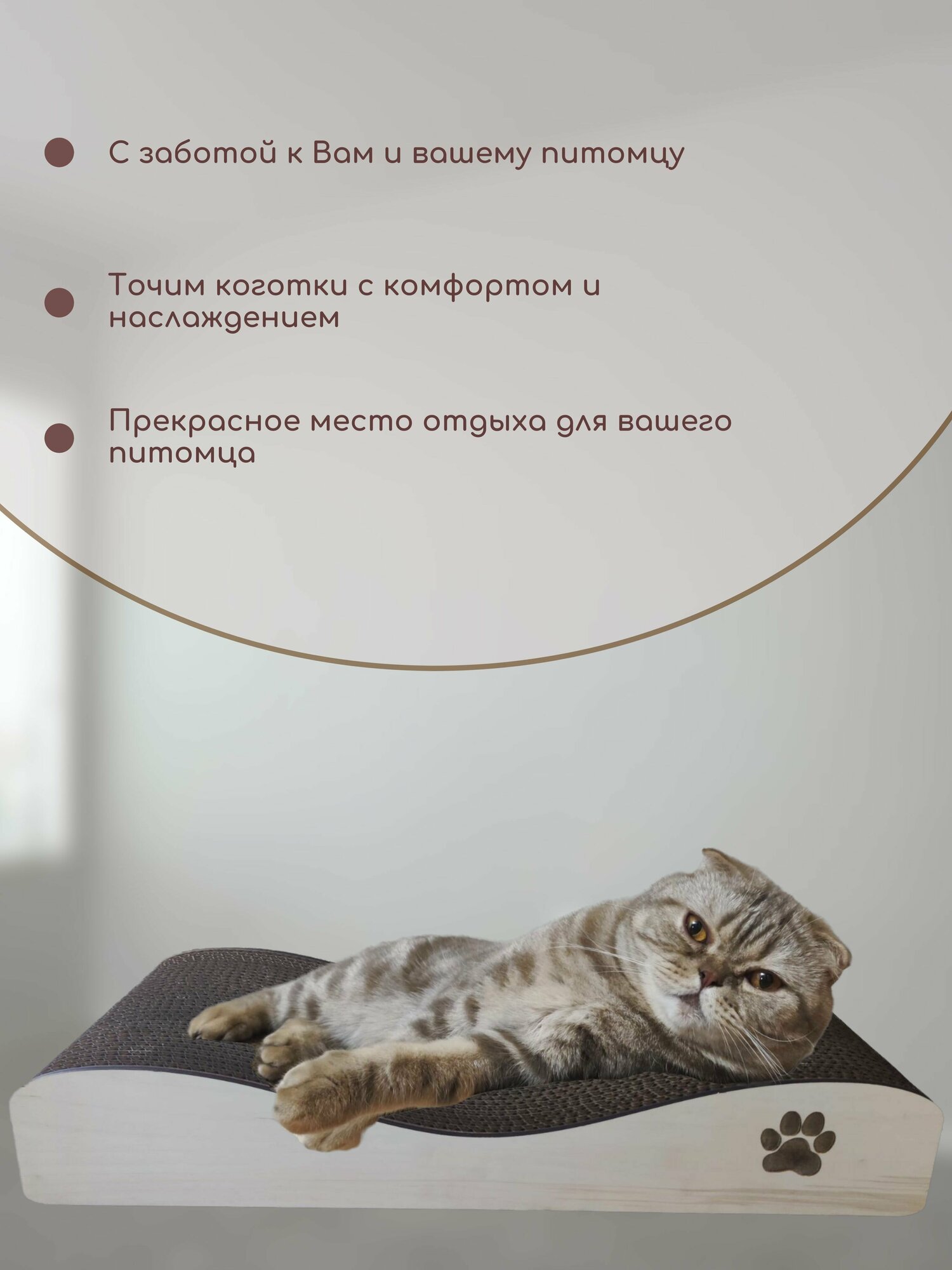 картонная когтеточка, лежанка для кошки, когтедралка - фотография № 5
