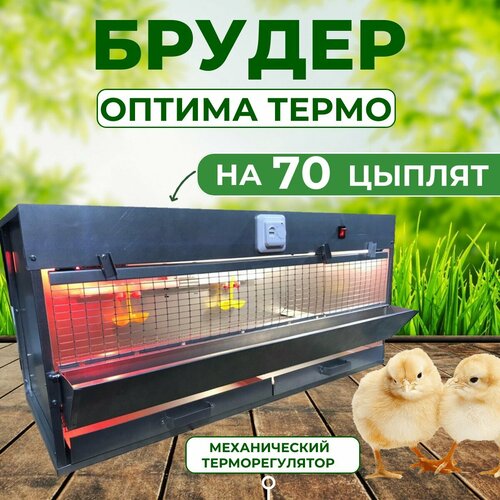 Брудер для 70 цыплят Оптима с терморегулятором брудер для цыплят 32 оптима с поддоном из нержавейки