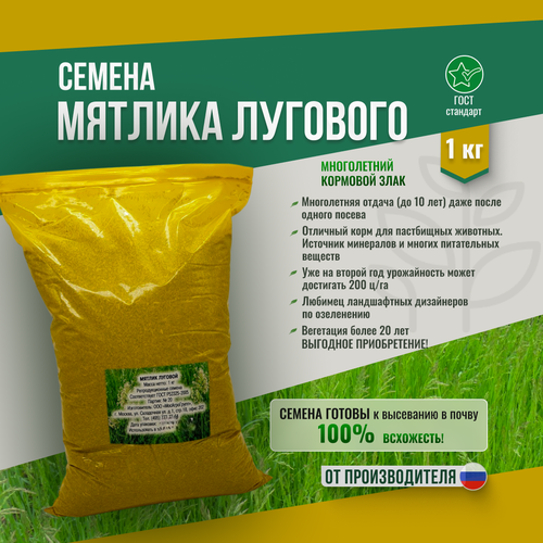 Семена Мятлика Лугового (DLF Дания) 1 кг Мосагрогрупп — купить в ...