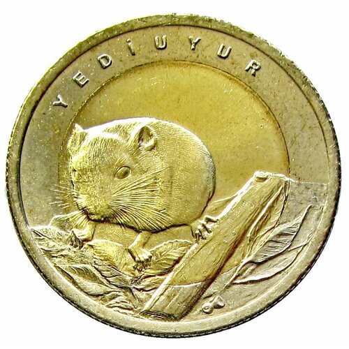 1 лира 2016 Турция, Орешниковая соня, UNC клуб нумизмат монета 20 лир турции 2005 года серебро орешниковая мушловка