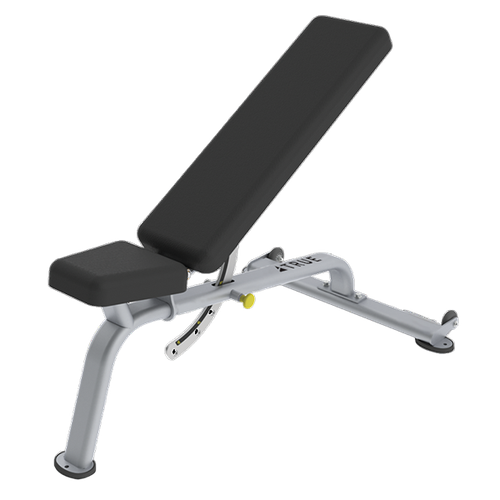 горизонтальная скамья spirit fitness sp 4201 Мультипозиционная скамья TRUE FITNESS LINE FS-20